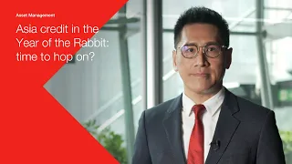 Asia credit in the Year of the Rabbit: time to hop on? | HSBC Asset Management