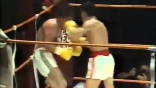 Daniel Zaragoza vs Jeff Fenech in Australia