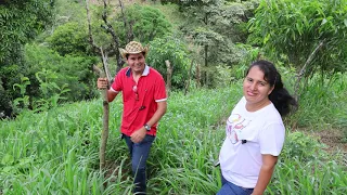 TERRENO DE UNA MANZANA EN CANTON EL BRUJO, METAPAN, SANTA ANA