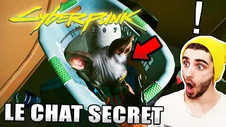 CYBERPUNK 2077 : COMMENT AVOIR UN CHAT DANS SON APPARTEMENT (Secret)