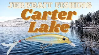 JerkBait Fishing Carter Lake (SURPRISE CATCH?!)