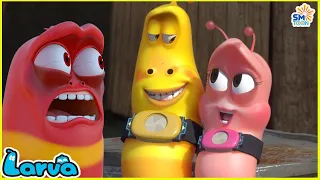 Larva Season 3 Full Episode 🍟 Larva Cartoons - Comics HD 🥟 New Cartoon Comedy 2024 | Larva Official