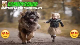 Funny Dogs and Babies Playing Together-Funny Babies & Dogs Compilation #19