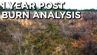 1 Year Post Prescribed Fire Analysis | Timing Of Application & Results | Habitat Management