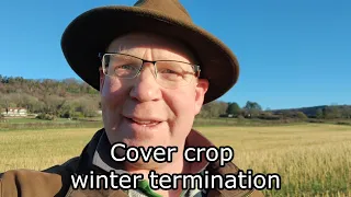 Winter cover crop termination