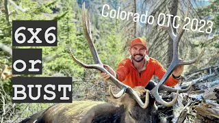 Colorado 3rd Rifle Bull Elk Hunt | November 2023 | OTC, DIY, Public Land | Long Range