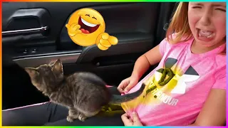 New Funny Dog And Cat 2023 😍🐶😻 Skibidi Toilet Cat and Dog 🤩Funniest Animals #273