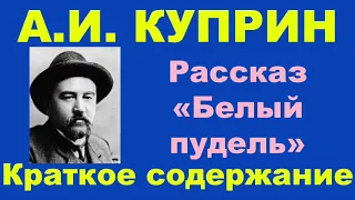 А.И. Куприн. Рассказ «Белый пудель». Краткое содержание.