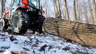 #374 SKIDDING BIG LOGS GETS DICEY With COMPACT TRACTOR, RK 55 aka BIG RED!
