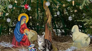 Рождественский Вертеп. Песнопение: "Христос Рождается - Славите!"