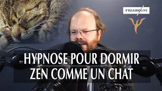 Séance d'hypnose pour dormir zen, comme un chat (1/2)