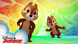 Celebración Feliz Song from Latin America | Shake Your Tail with Chip ‘n Dale! | @disneyjunior