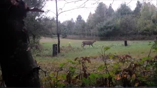 Wisconsin Hunt Oct 2017