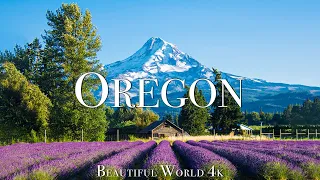 Oregon 4K Beautiful Nature Film - Morning Piano Music - Wonderful Nature