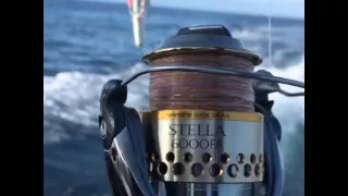 Stella 6000FA