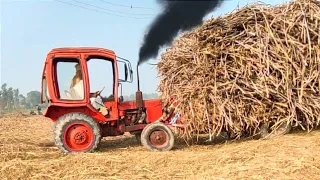 MTZ-50 Tractor 50 & 510 Tractor Pulling Loaded Trolley | Shehzady Tractors