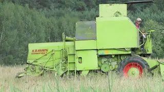 Claas Compact 30 w wietrzne, sierpniowe popołudnie.