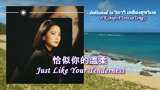 鄧麗君 Teresa Teng 恰似你的溫柔 Just Like Your Tenderness