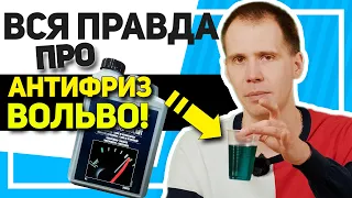 ТОП-3 горячих вопроса про антифриз // Что заливать, когда и как менять?