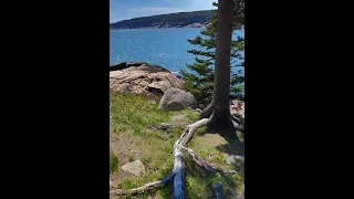 Weathering Processes in Action at Acadia National Park