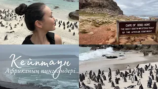 Оңтүстік Африка Республикасына саяхат, Кейптаун қаласы және африкалық пингвиндер
