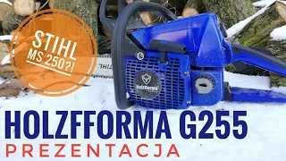 Holzfforma g255 - prezentacja i opinia o pilarce (chińska pilarka)