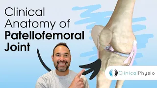 Clinical Anatomy of Patellofemoral Joint | Expert Physio Guide