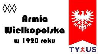 Armia Wielkopolska w 1920 roku