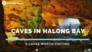 Top 6 Caves in Halong Bay Worth Visiting