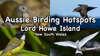 Birding Hotspots Special - Lord Howe Island