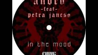 Andro feat Petra Jancso - In the Mood