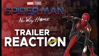 SPIDER-MAN: NO WAY HOME - Official Trailer Reaction Mashup | Tom Holland | Zendaya