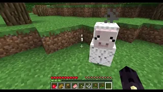 Playing Minecraft Spider queen mod