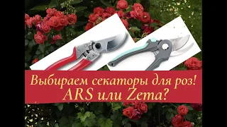 Выбираем секаторы для роз! ARS или Zema?