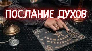 ⚡️ДО ДРОЖИ ❗️ Что ХОТЯТ СКАЗАТЬ ДУХИ❓ медиум - таро расклад🔮гадание онлайн #таро #гадание #медиум