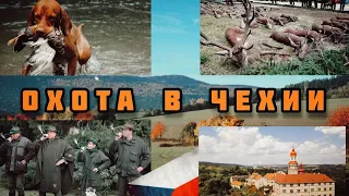 Как проходит охота в Чехии? Традиции, организация, дичь
