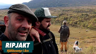 Ripjakt i Åre | Jakt är Jakt