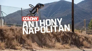 Anthony Napolitan - Colony BMX