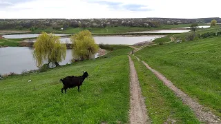 Знаменка. Родные сердцу места. Часть 2. Кировоградская обл.