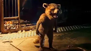 Rocket - HURTS (Guardians Of The Galaxy Vol. 3)