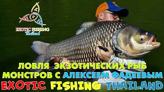 EXOTIC FISHING THAILAND -ЛОВЛЯ ЭКЗОТИЧЕСКИХ РЫБ МОНСТРОВ С АЛЕКСЕЕМ ФАДЕЕВЫМ.