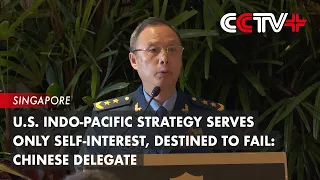 U.S. Indo-Pacific Strategy Serves Only Self-Interest, Destined to Fail: Chinese Delegate