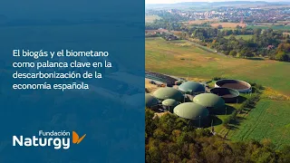 El biogás y el biometano como palanca clave en la descarbonización de la economía española