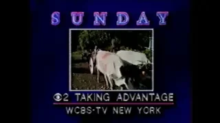 October 1984 WCBS (New York) Commercial Breaks