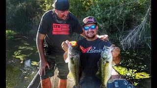 Top 2 fish producing Delta rigs! Plus fan trips!