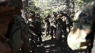 Marine Forces Reserve MTX 4-23: Final Exercise in Action