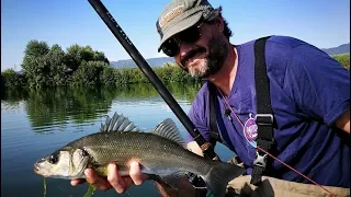 PESCA IN FOCE -   SPIGOLE E CEFALI A BOLOGNESE