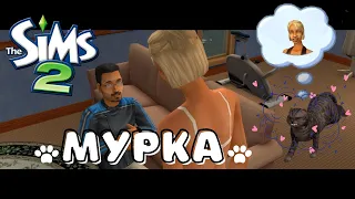 Sims 2 Летсплей | Семья Ионеско | Мурка ❤ #9