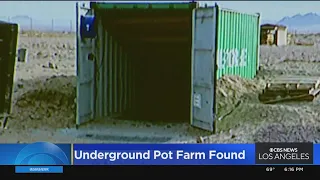 San Bernardino authorities uncover massive illegal, underground marijuana grow operation