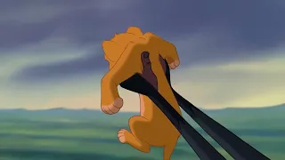 Circle of Life 60fps